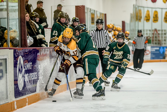 Chisago vs Forest Lake Varsity Hockey 282