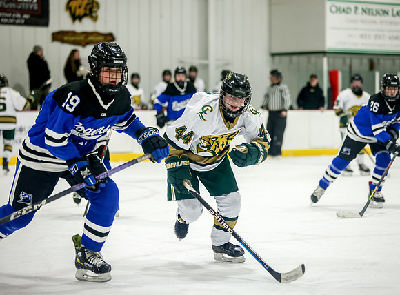 Chisago vs Rogers JV Hockey 218