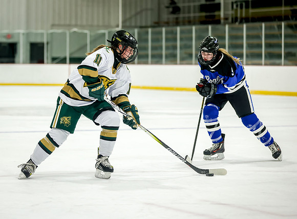 Chisago vs Rogers JV Hockey 260
