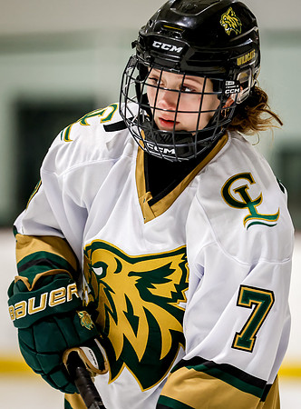 Chisago vs Rogers JV Hockey 50