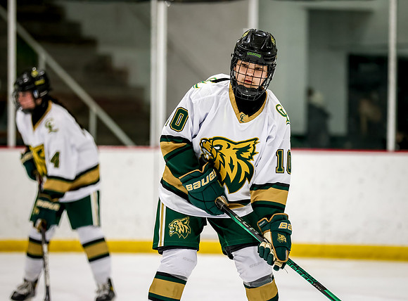 Chisago vs Rogers Varsity Hockey 5