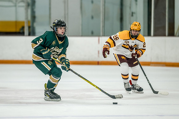 Chisago vs Forest Lake JV Hockey 117