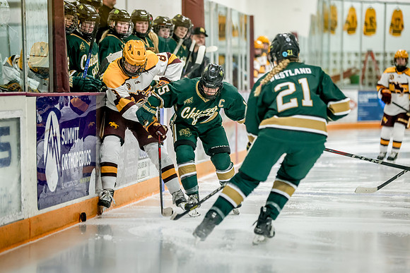 Chisago vs Forest Lake Varsity Hockey 370