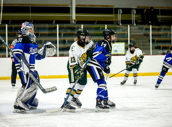 Chisago vs Rogers Varsity Hockey 172