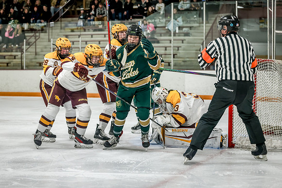 Chisago vs Forest Lake Varsity Hockey 274