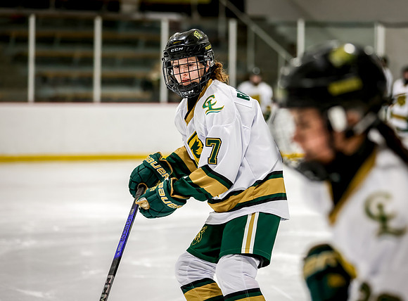 Chisago vs Rogers JV Hockey 30