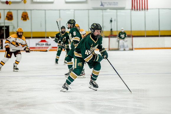 Chisago vs Forest Lake Varsity Hockey 262