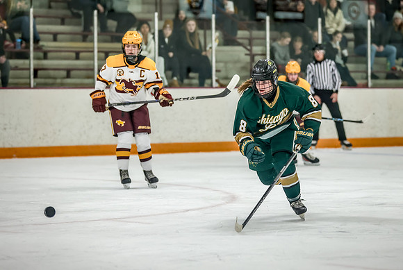 Chisago vs Forest Lake Varsity Hockey 217