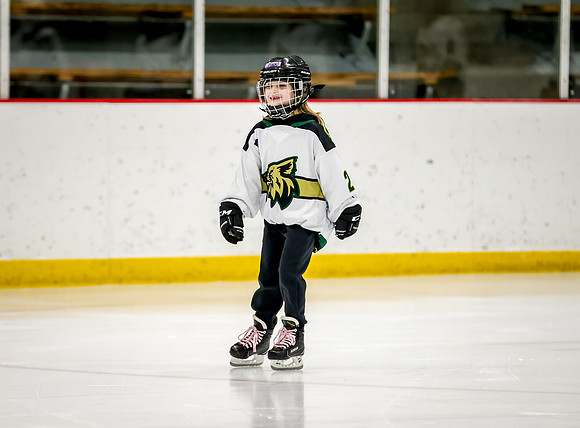 Chisago vs Rogers Varsity Hockey 80