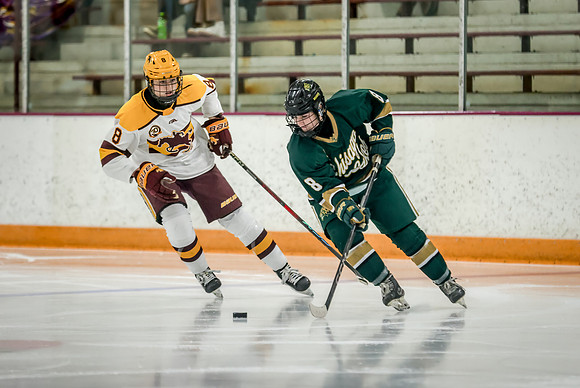 Chisago vs Forest Lake Varsity Hockey 380