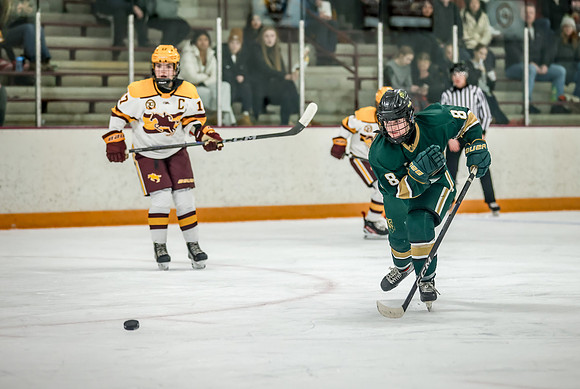 Chisago vs Forest Lake Varsity Hockey 216