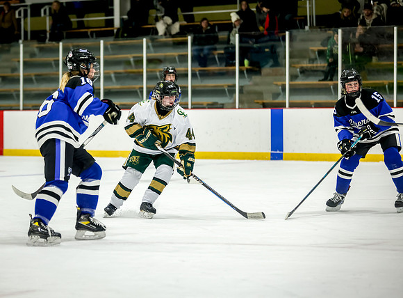 Chisago vs Rogers JV Hockey 310