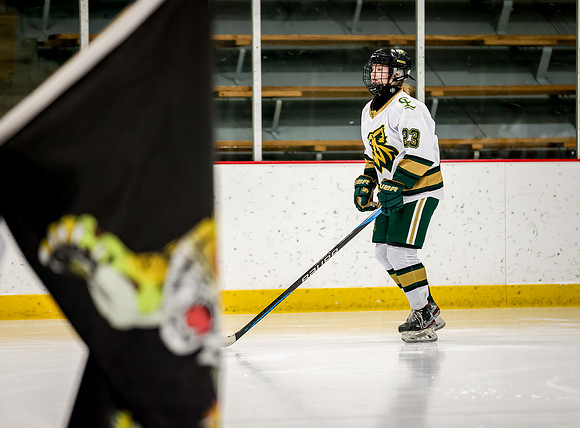 Chisago vs Rogers Varsity Hockey 85