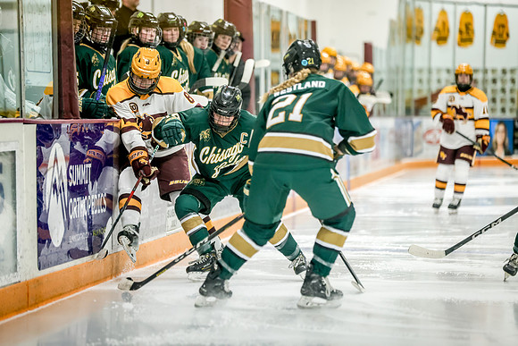 Chisago vs Forest Lake Varsity Hockey 372