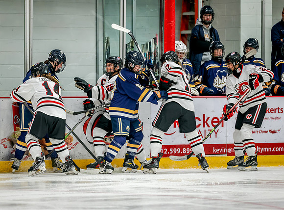 Centennial vs Rosemount Varsity Hockey 100