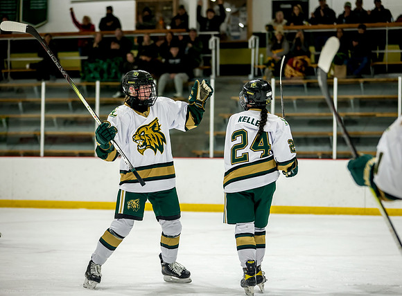 Chisago vs Rogers JV Hockey 270