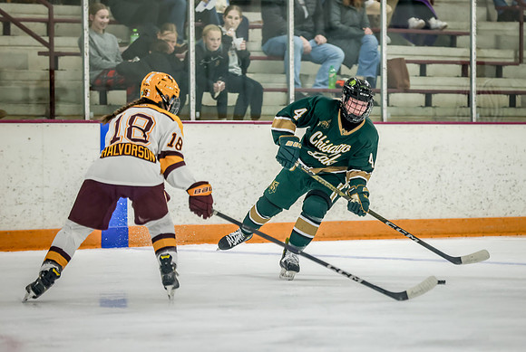 Chisago vs Forest Lake Varsity Hockey 202