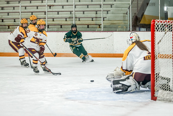 Chisago vs Forest Lake JV Hockey 119