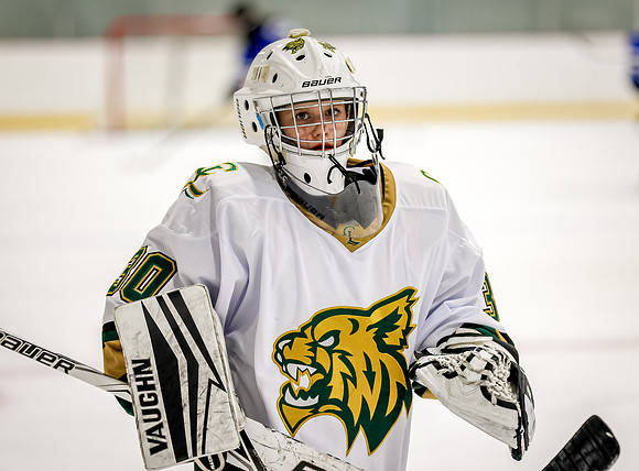 Chisago vs Rogers Varsity Hockey 37