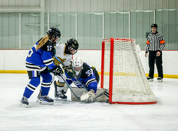Chisago vs Rogers JV Hockey 371