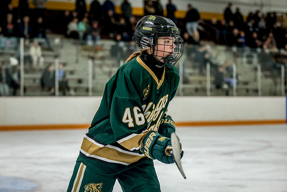 Chisago vs Forest Lake Varsity Hockey 431