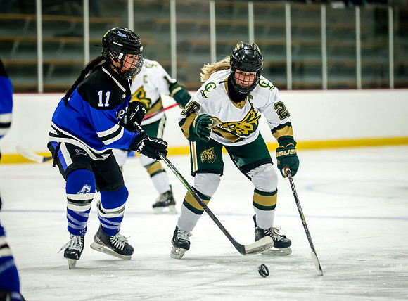Chisago vs Rogers Varsity Hockey 174