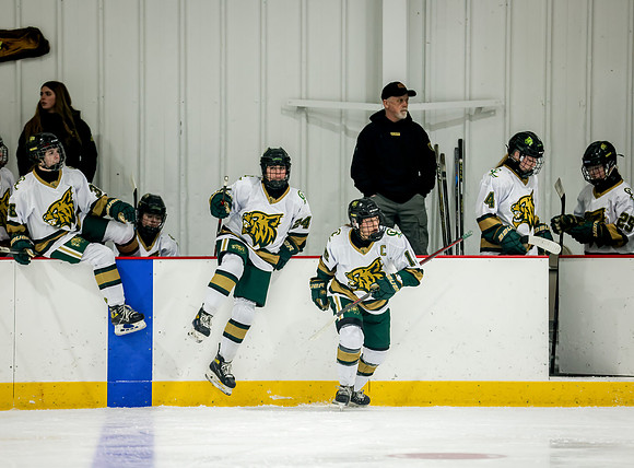 Chisago vs Rogers Varsity Hockey 303