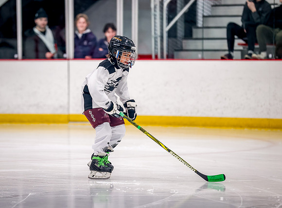 Chisago vs Rogers Varsity Hockey 13