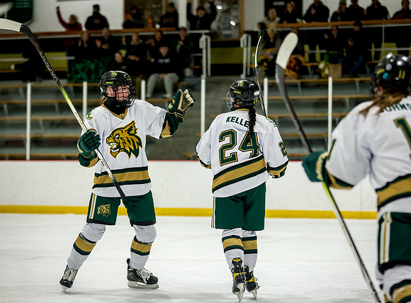 Chisago vs Rogers JV Hockey 271
