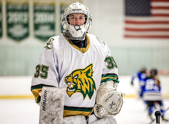 Chisago vs Rogers Varsity Hockey 39