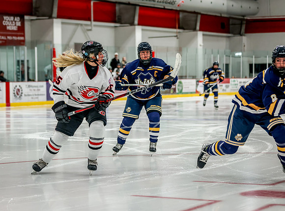 Centennial vs Rosemount Varsity Hockey 271