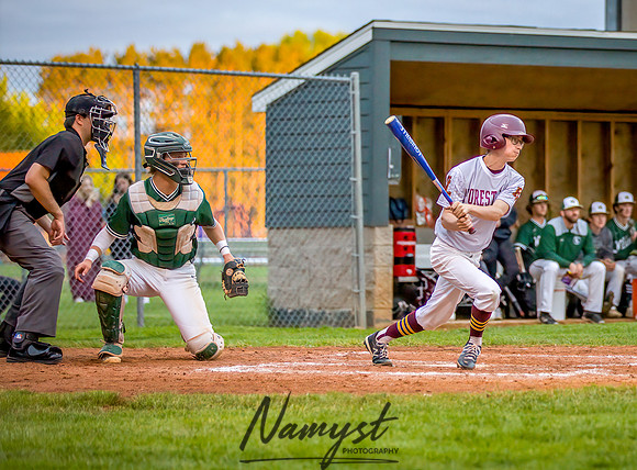 Forest Lake vs Chisago Lakes Varsity Baseball (805)