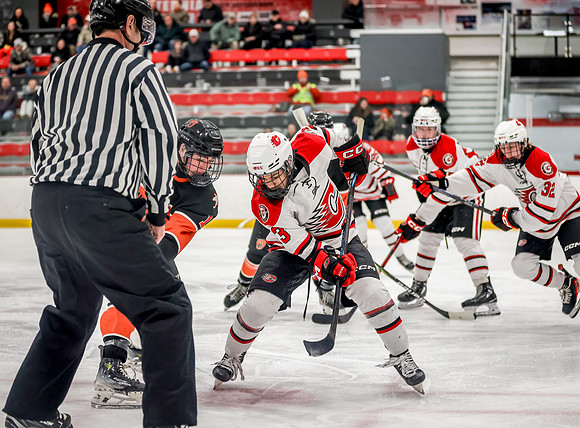 Centennial vs White Bear Lake JV Hockey 100