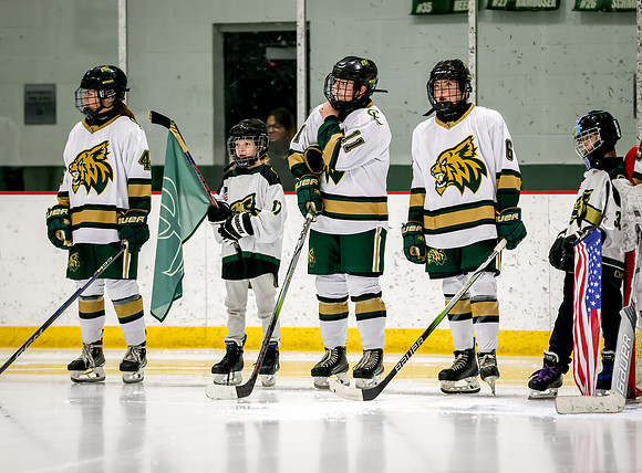 Chisago vs Rogers Varsity Hockey 77