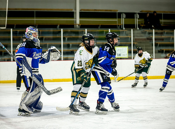 Chisago vs Rogers Varsity Hockey 171