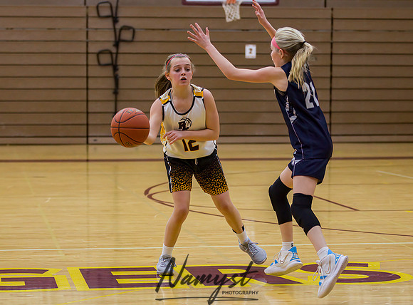 Forest Lake Girls 7 Maroon Basketball 169