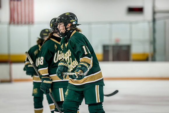 Chisago vs Forest Lake Varsity Hockey 277