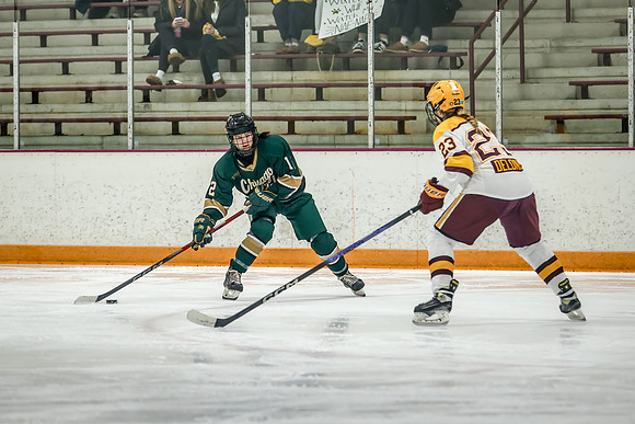 Chisago vs Forest Lake Varsity Hockey 250