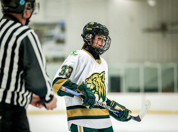 Chisago vs Rogers JV Hockey 246