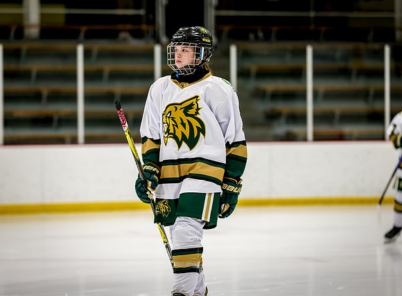Chisago vs Rogers JV Hockey 5