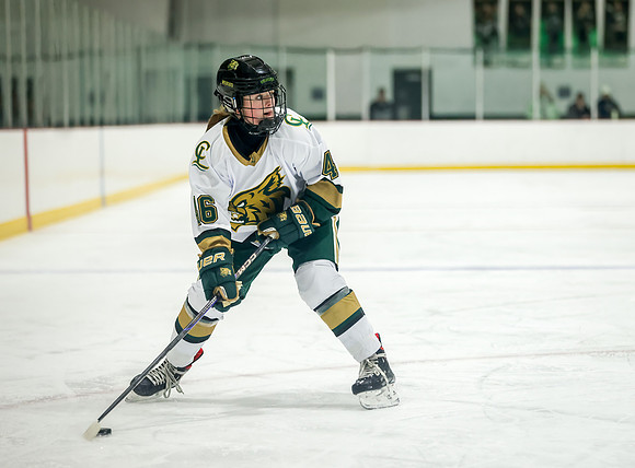 Chisago vs Rogers Varsity Hockey 224