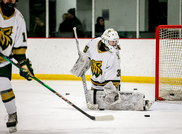 Chisago vs Rogers Varsity Hockey 4