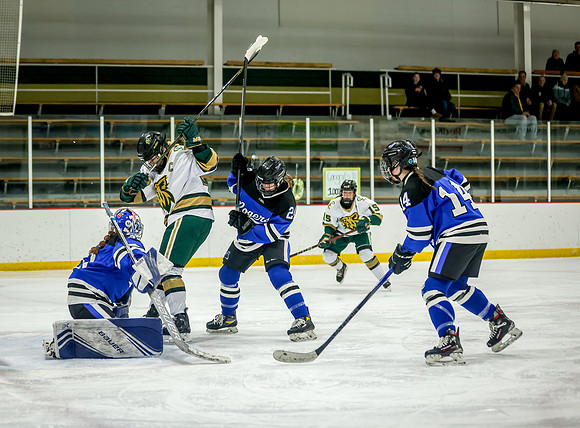 Chisago vs Rogers Varsity Hockey 145