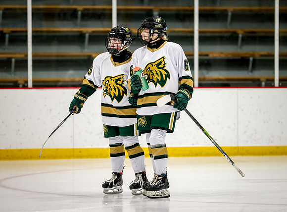 Chisago vs Rogers JV Hockey 11