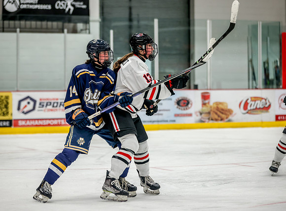 Centennial vs Rosemount Varsity Hockey 314