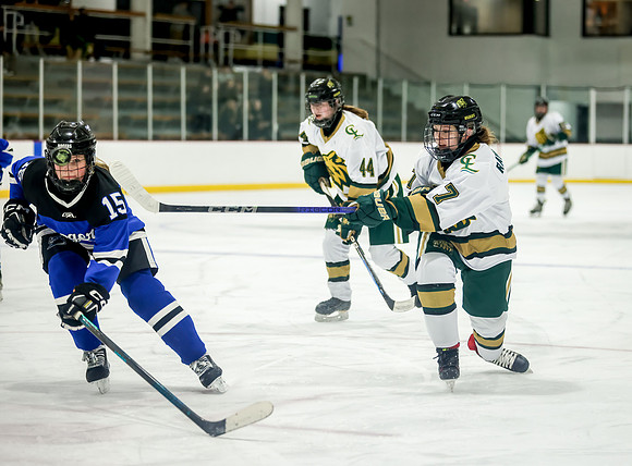 Chisago vs Rogers JV Hockey 102