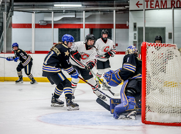Centennial vs Holy Angels Varsity Hockey 174