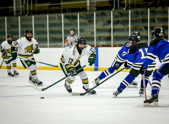 Chisago vs Rogers JV Hockey 277