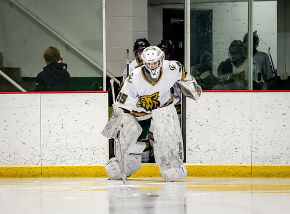Chisago vs Rogers Varsity Hockey 51