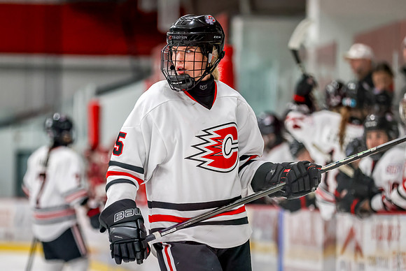 Centennial vs Maple Grove Varsity Hockey 195